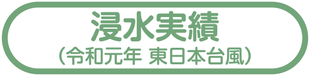 浸水実績（令和元年 東日本台風）