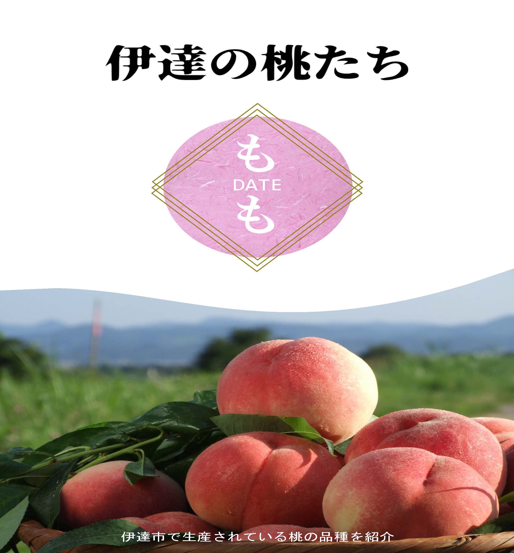 伊達の桃たち