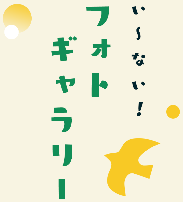 い～ない！フォトギャラリー