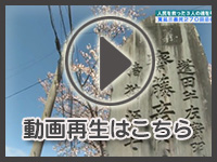 5月10日の映像をみる