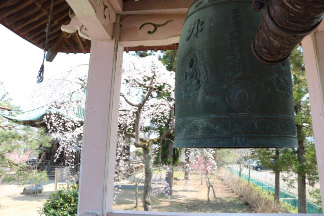 The View from Hobara Yakushi Hall’s Bell Tower ・保原薬師堂の鐘楼からの風景