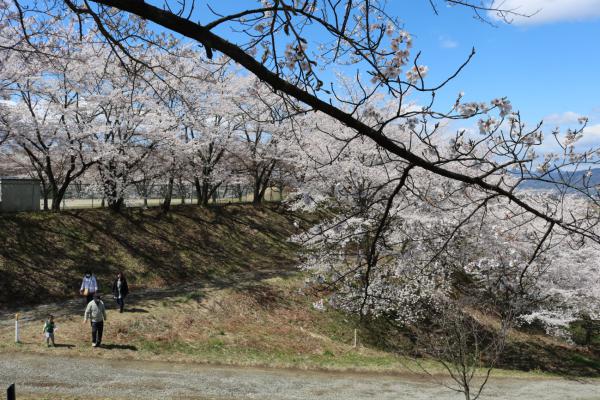 紅屋峠