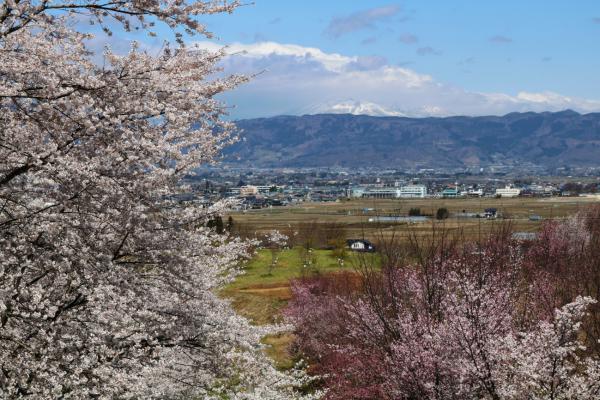 紅屋峠から伊達市役所