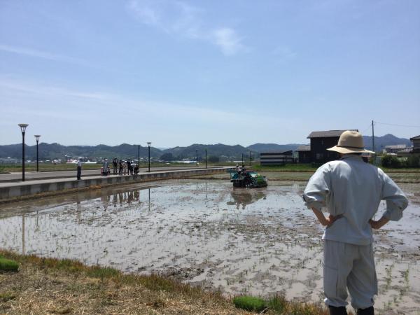 保原田植え