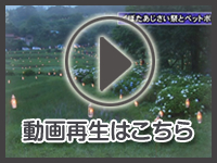 7月26日の映像をみる