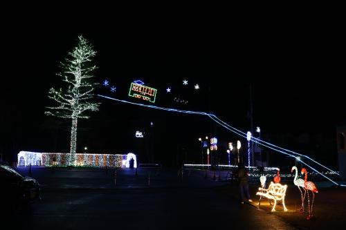 ２0１９イルミネーション