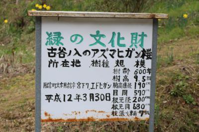 看板1