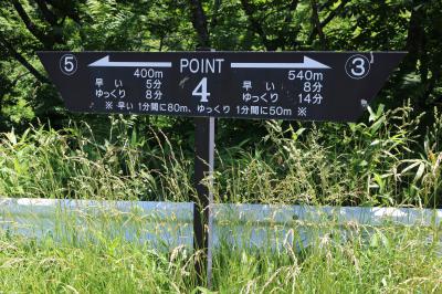 Point 4