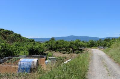 希望の森公園