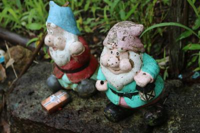 gnomes