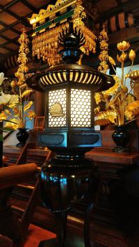 A Gilded Lantern ・ 金ぴかの献灯