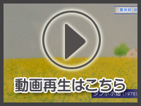 11月6日の映像を見る