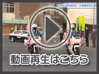 12月25日の映像を見る