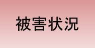 被害状況