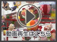 2月26日の映像を見る