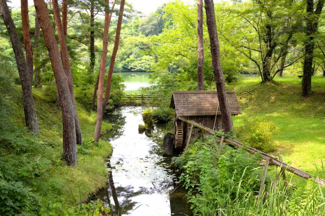 やながわ希望の森公園内の小川と溜池の写真
