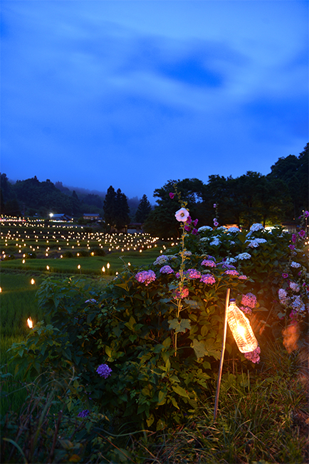 イルミネーションが綺麗な、くぼたあじさい公園の夜の写真