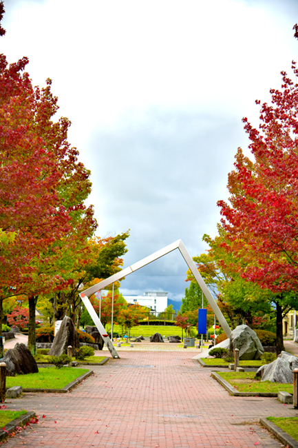 保原総合公園のもみじの写真