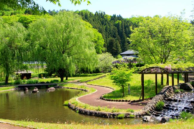 月見舘森林公園の写真