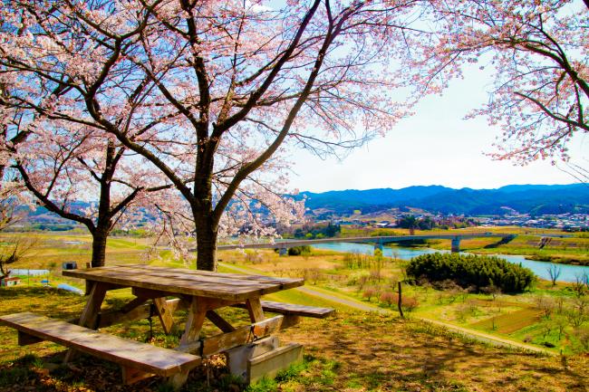 大枝城跡から春の梁川を一望した写真