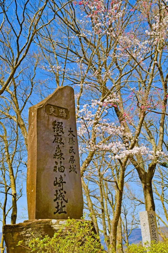 大枝城跡の石碑の写真