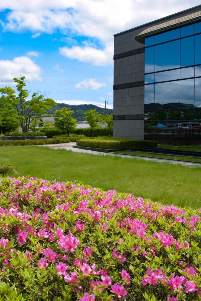 梁川美術館の庭園に綺麗なピンク色の花が咲いている写真