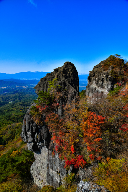 霊山の紅葉の写真