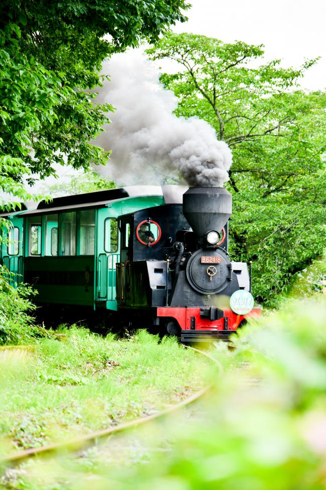 梁川希望の森公園内で煙をはいて走るミニSLの写真