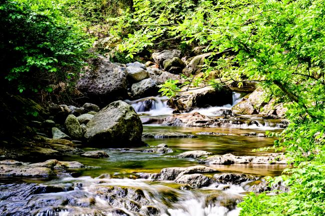 霊山町石田地区の水が透き通る石田川の写真