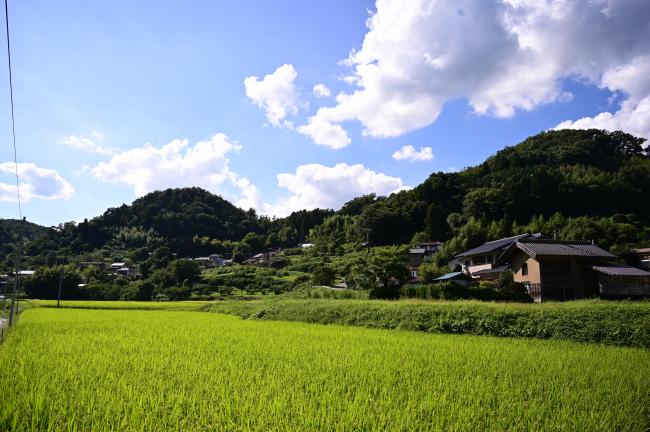 梁川町の田園風景写真