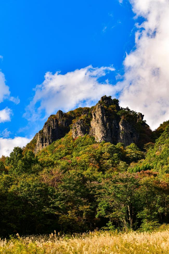 紅葉のシーズンの霊山の写真