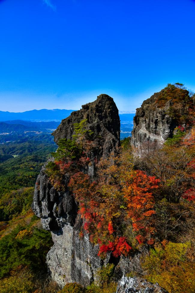 紅葉シーズンの霊山の山肌の写真