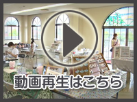 7月30日の映像を見る