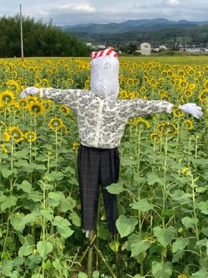 かかし5