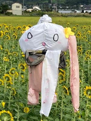 もんも