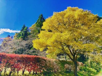 やながわ希望の森