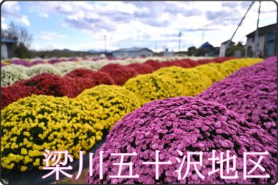 梁川町五十沢地区コースの写真