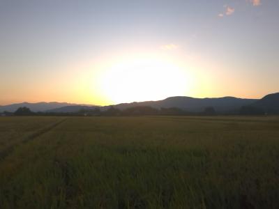 田んぼの夕暮れの写真