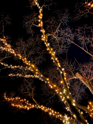 Illumination