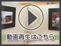 1月28日の映像を見る