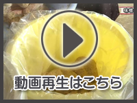 3月4日の映像を見る