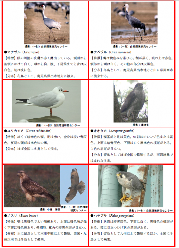 検査優先種１-３