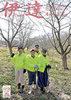 紅屋峠千本桜の会の人たちが植え替えをしたときに撮影した写真です