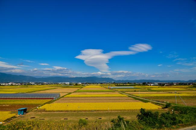 青空と田園風景の写真