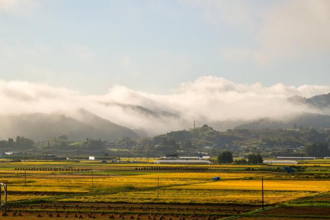 霧で山が霞みかかった風景の写真