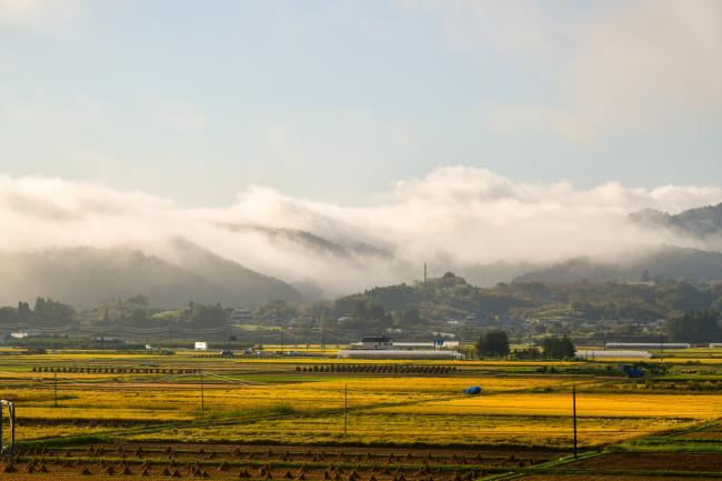 霧で山が霞みかかった風景の写真