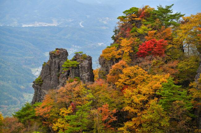 色鮮やかに紅葉した霊山の写真