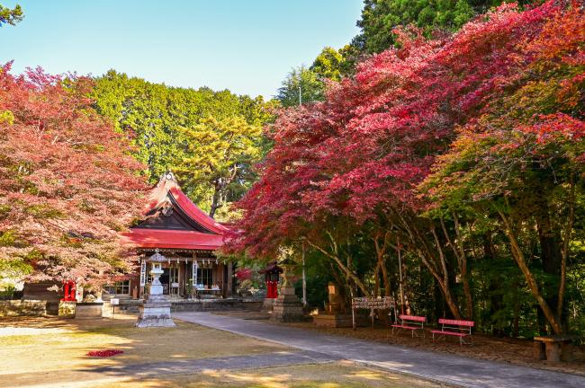 霊山神社の紅葉の写真