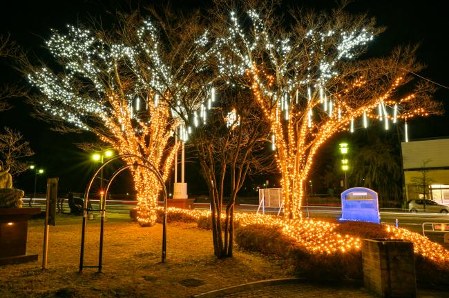 伊達市梁川美術館前のイルミネーションの写真