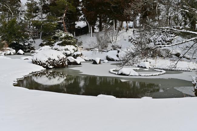 梁川城跡心字の池の雪景色の写真